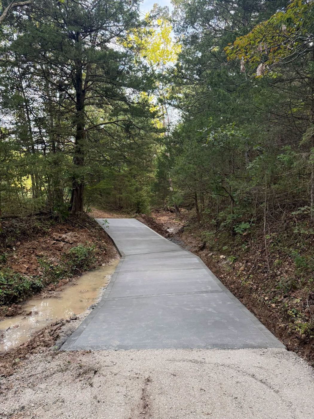 Concrete drive winding through a wooded lot